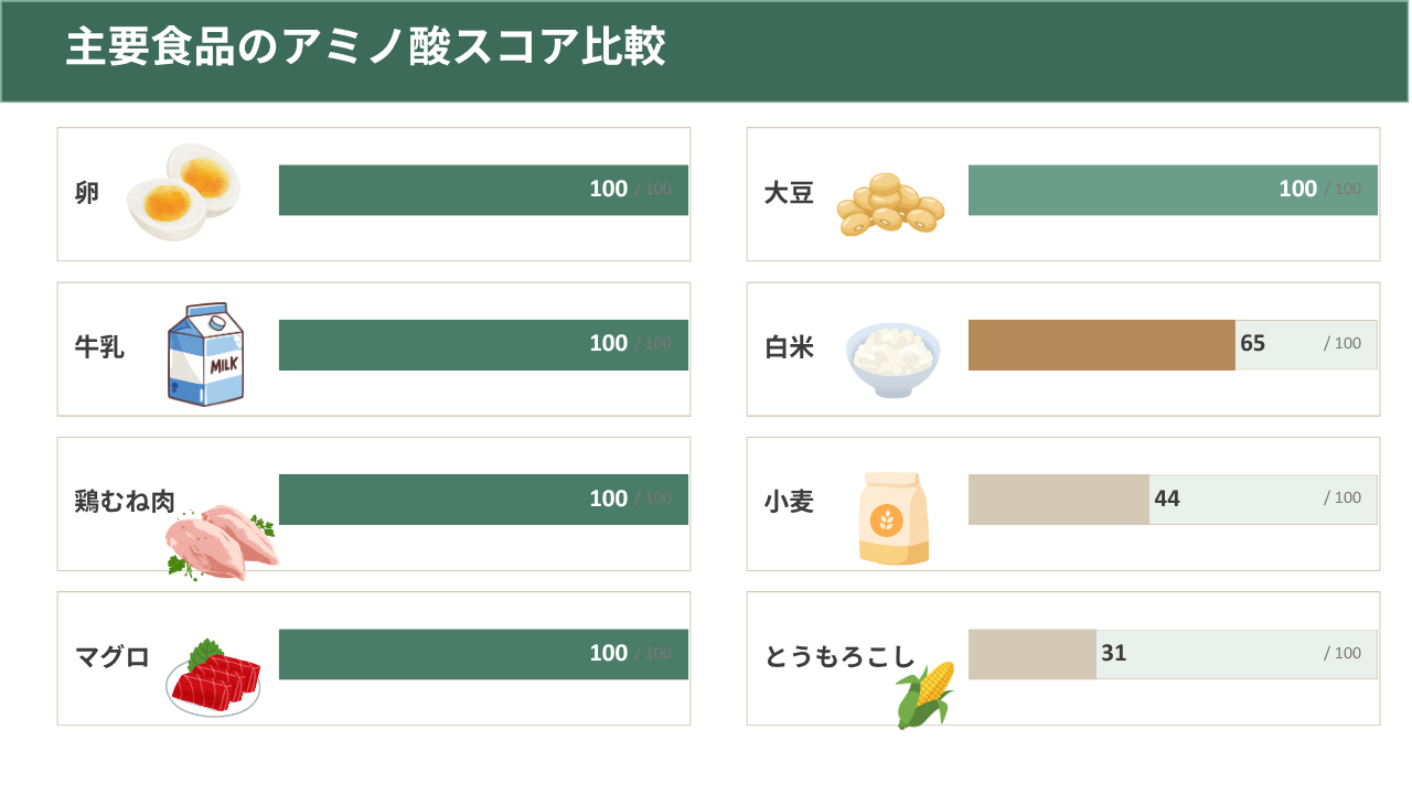 栄養指導